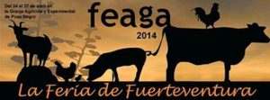 feaga-2014-fuerteventura